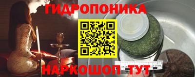 амф Камышлов